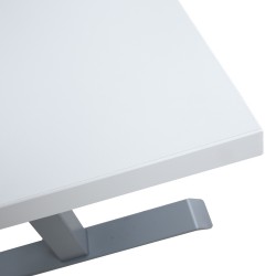 Desk ERGO 2 160x80cm white grey