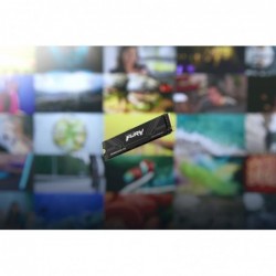 Kingston Technology 4T FURY RENEGADE G5 M.2 2280 NVMe SSD