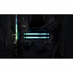 Kingston Technology FURY Beast 32GB 5600MT/s DDR5 CL36 DIMM RGB EXPO