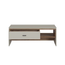 Coffee table RIVERO 110x64xH43cm, oak grey