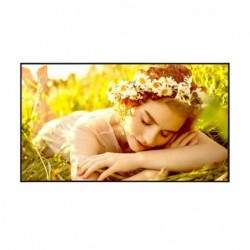 LG 4K UHD Signage 55UL5Q-E...