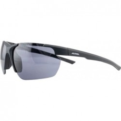 Okulary ALPINA DEFEY HR...