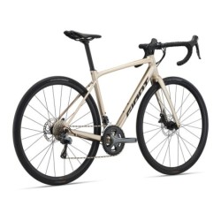 Maanteeratas GIANT Contend...