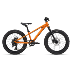 Laste jalgratas GIANT STP...