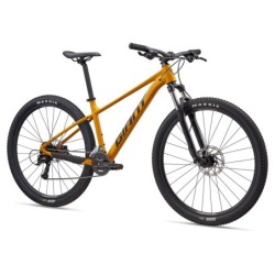 Jalgratas GIANT Talon 3,...