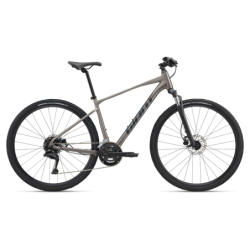 Jalgratas GIANT Roam 3,...