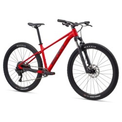 Jalgratas GIANT Talon 2,...