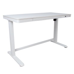 Desk ERGO adjustable with 1-motor, white