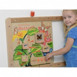 Butterfly Life Cycle Masterkidz Educational Board