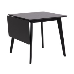 Dining table ROXBY, 80 120x80xH76cm, black