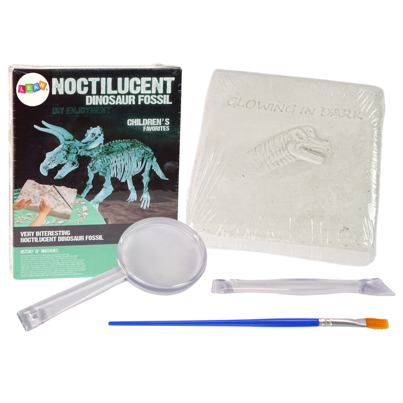 Archaeology Excavation Kit Dinosaur Skeleton 3D Triceratops Hologram