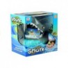 Crazy Shark Catch The Fish Family Game