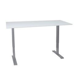 Desk ERGO with 2-motors 160x80xH60-125cm white grey
