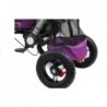 Tricycle Bike PRO700 - Violet 