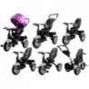 Tricycle Bike PRO500 - Violet 