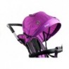 Tricycle Bike PRO500 - Violet 