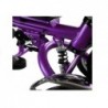 Tricycle Bike PRO600 - Violet