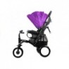 Tricycle Bike PRO400  - Violet