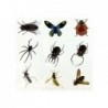 Prehistory Creative Set Create Amber Insects
