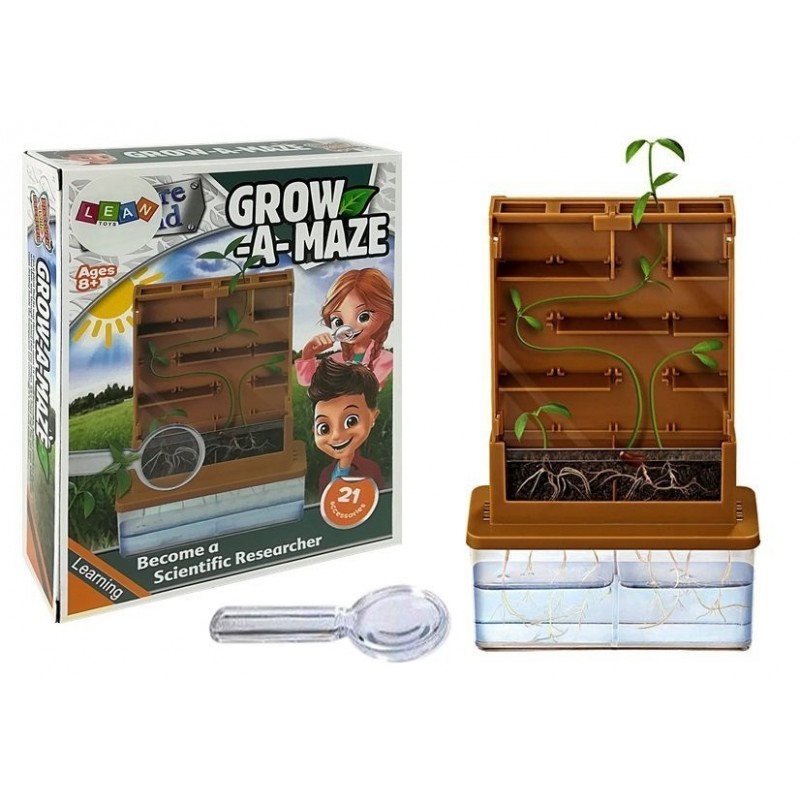 Educational DIY Solar Maze Plant Cultivation Kit