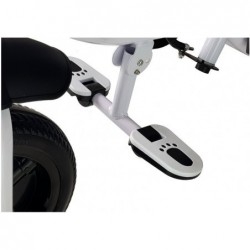 Tricycle PRO300 Red