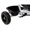 Tricycle PRO300 Red