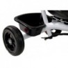 Tricycle PRO300 Violet