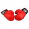 Big Boxer Set For Kids + Gloves Pear Stand
