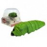 Infrared Caterpillar Avoids Obstacles Lime