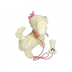 White Poodle Dog On A Leash With Pilot Bone
