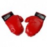 Boxing set, bag, gloves, belt
