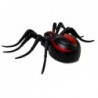 Black Spider Remote Controlled R / C Remote Control