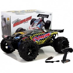 Remote Controlled Rally Car...