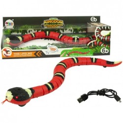 Remote Controlled Snake...