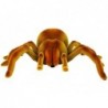 Remote Controlled Tarantula Spider Infrared Brown R/C