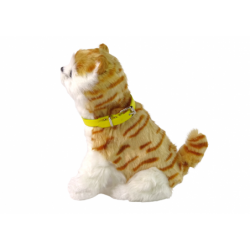 Interactive Plush Kitty Soft fur Stroke its head and learn its functions 