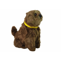Interactive Plush Dog Soft fur Stroke its head and learn its functions