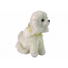 Interactive Plush Dog Soft fur Breed Poodle Stroke its head and learn its functions
