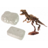 Archaeology 2-in-1 Dinosaur Skeleton Tyrannosaurus Set
