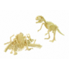 Archaeological Dinosaur Skeleton Assembleable Set of 5 Kinds