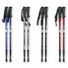 Walking poles on the Internet at the best prices!